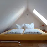 Ferienwohnung am Erfurter Dom